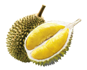 Musang King